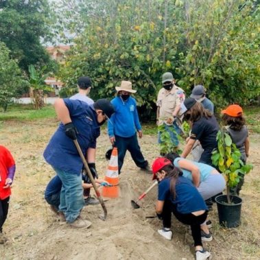 Young kids planting trees