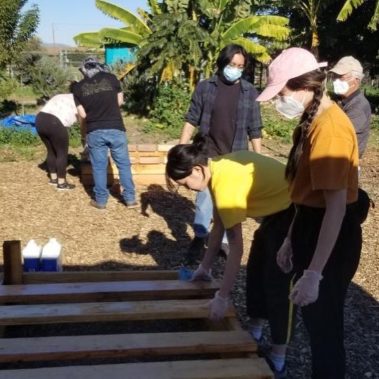 Teens building a plant box