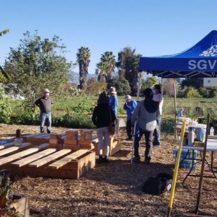 Teens building a plant box