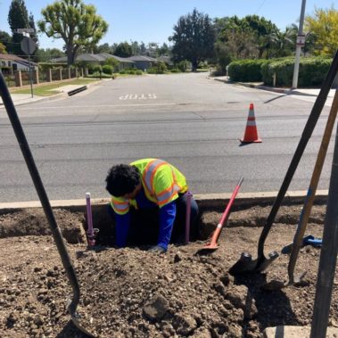 Young digging a hole for a tree