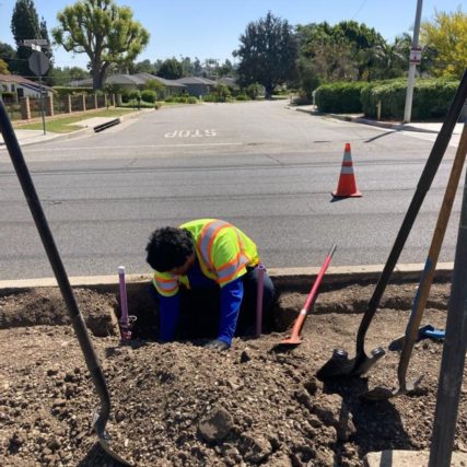 Young digging a hole for a tree