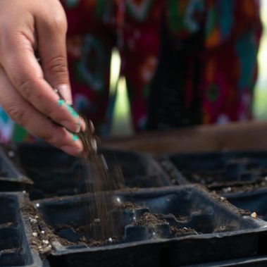 Close up hands prepping for planting