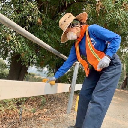 Young girl cleaning a fence