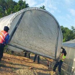 Teen and adults installing a green house tent