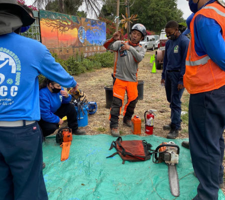 Construction worker show teens how to cut tree